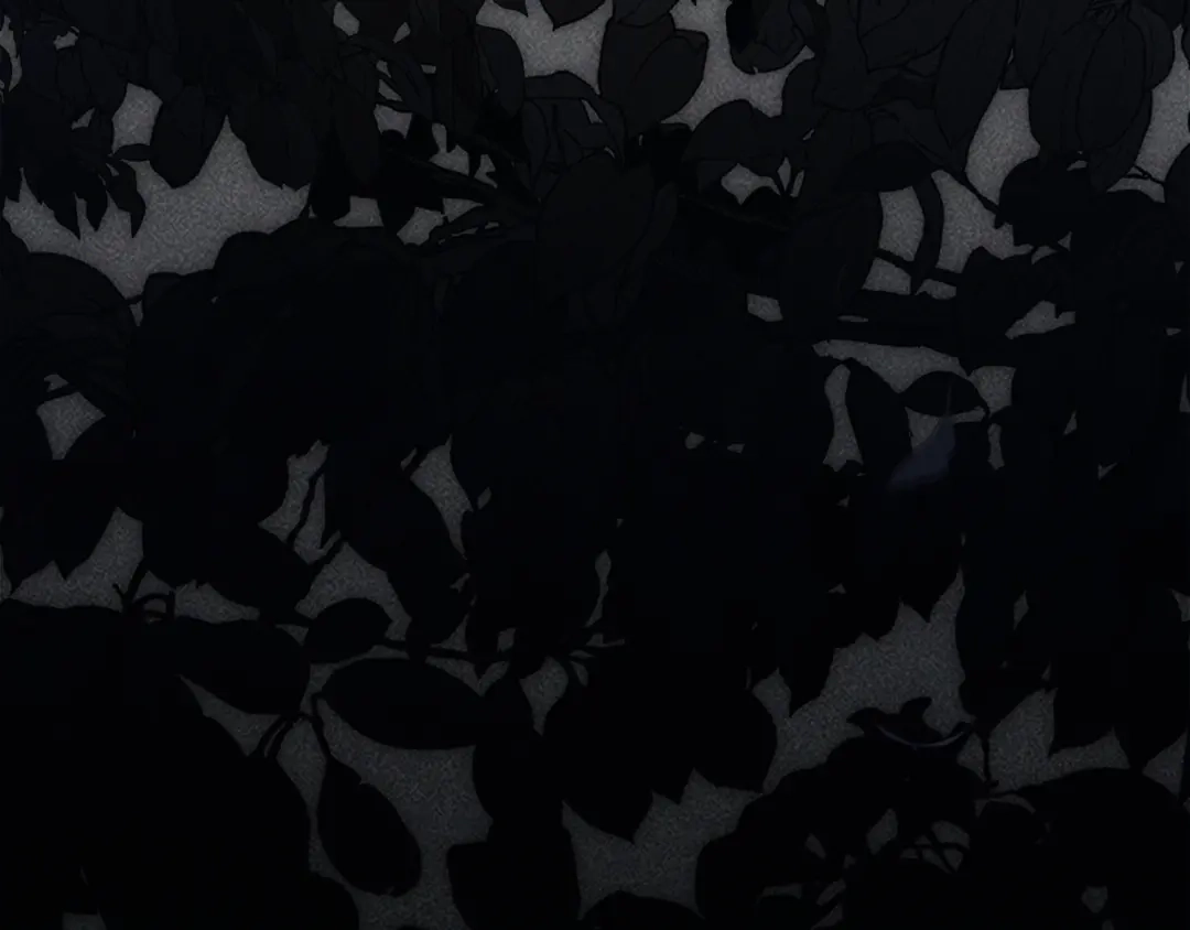 第260页