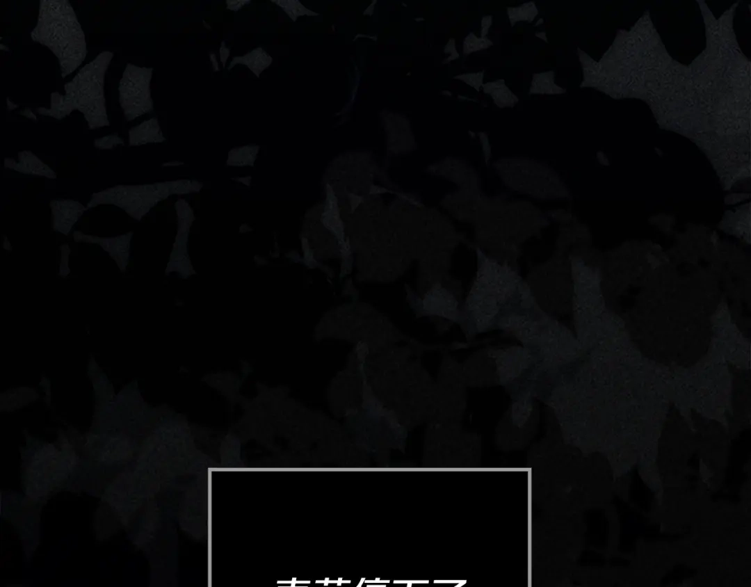 第261页
