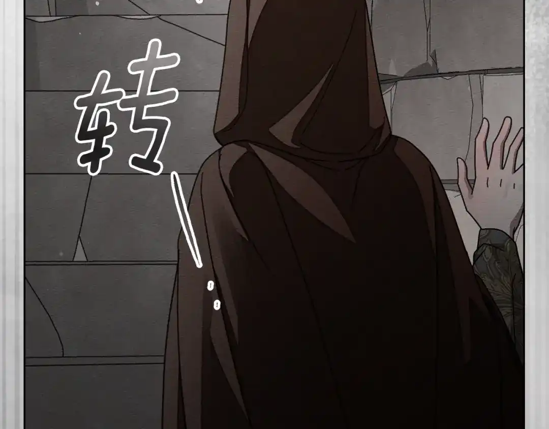 第194页