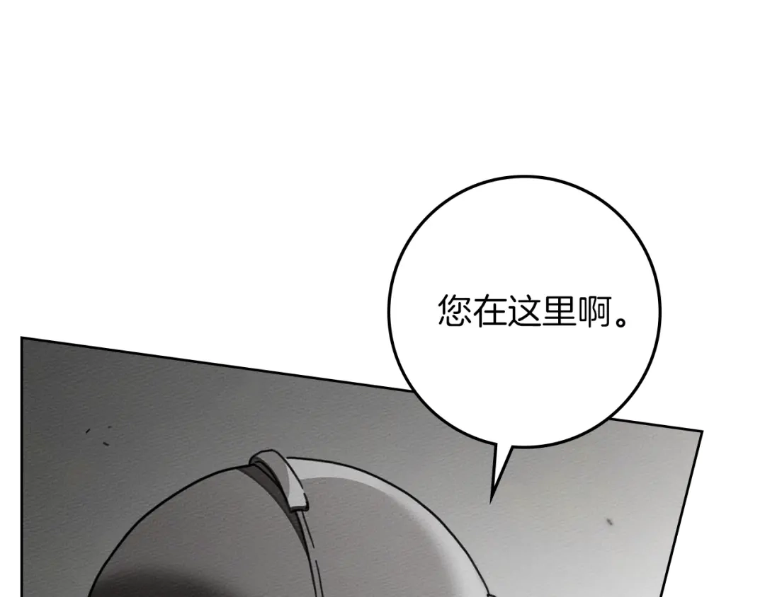 第242页