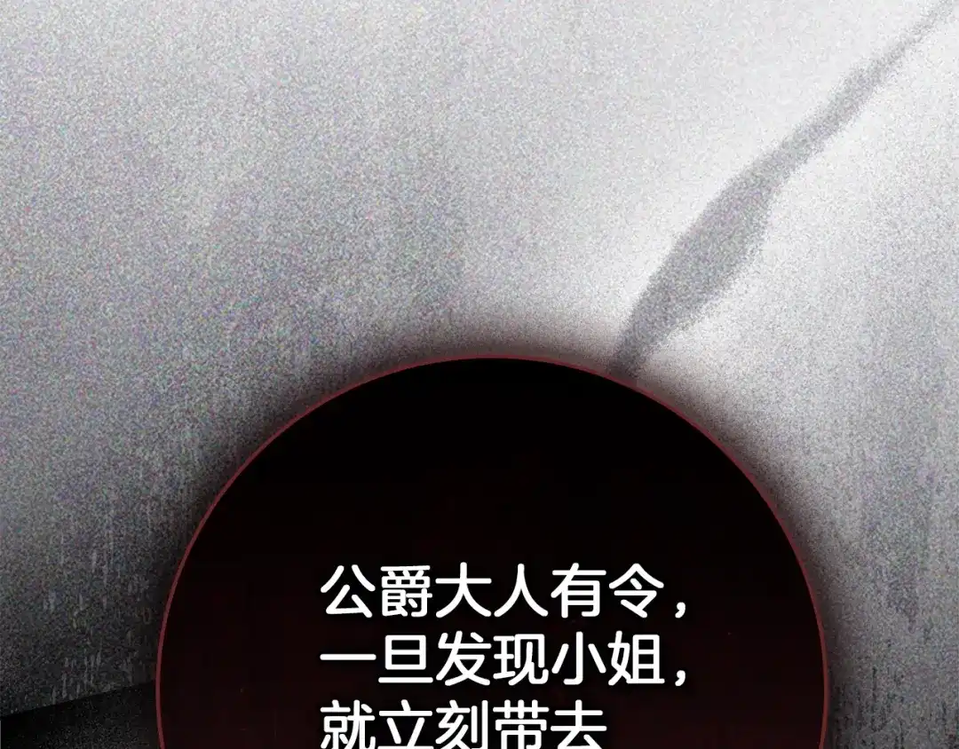 第255页