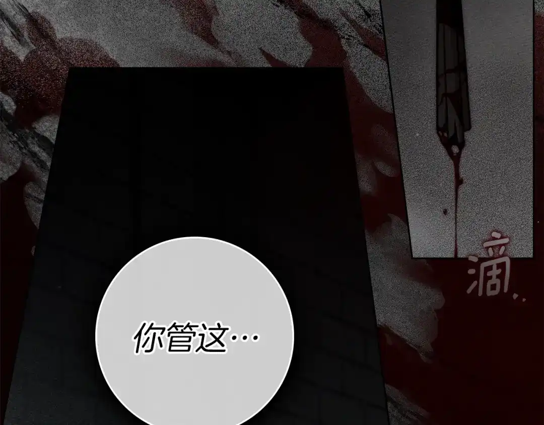 第215页