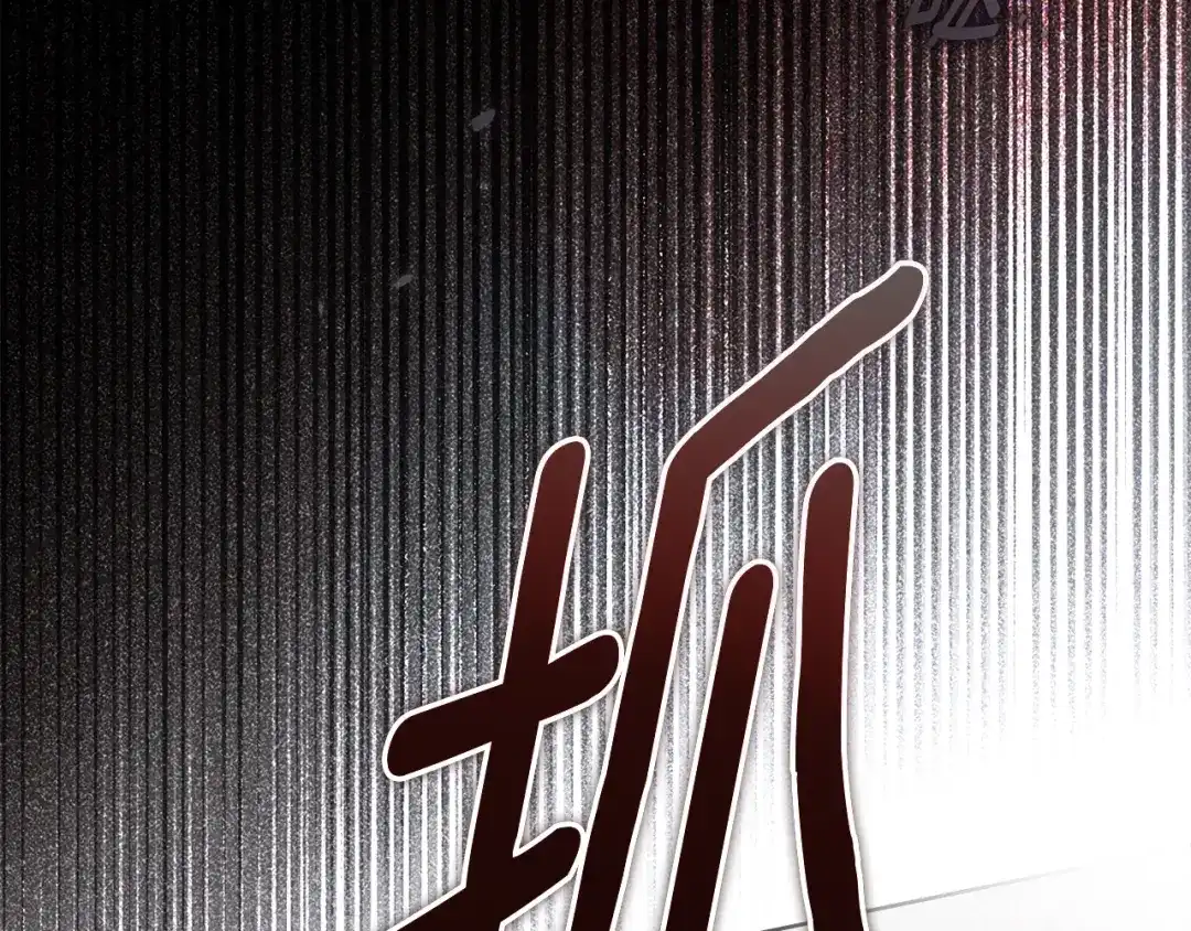 第244页