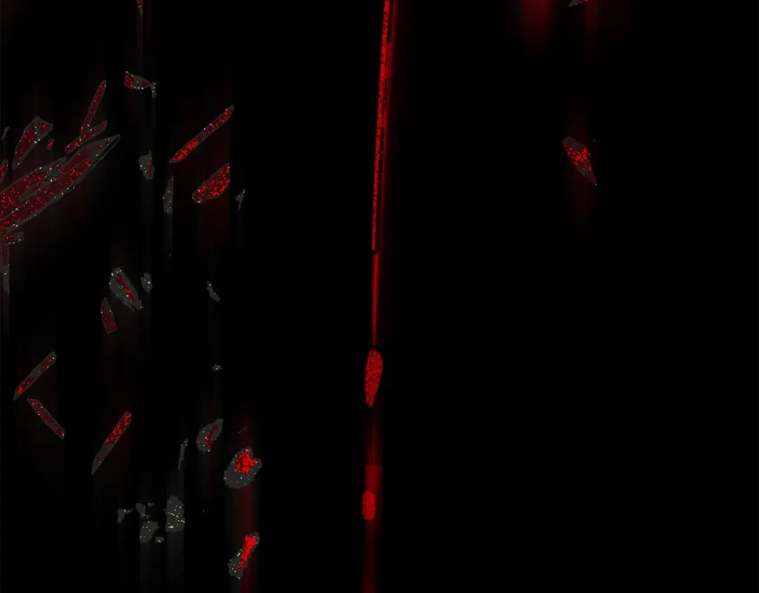 第261页