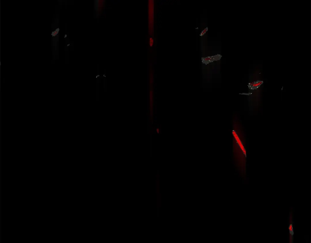 第262页