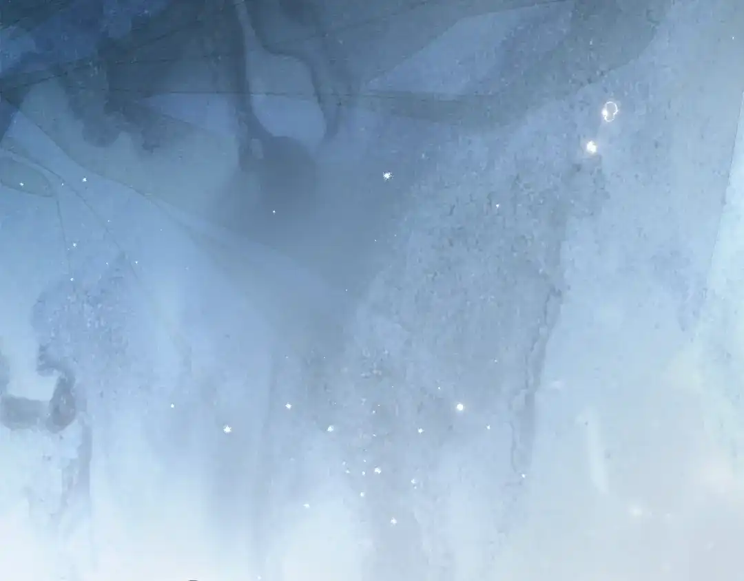 第243页