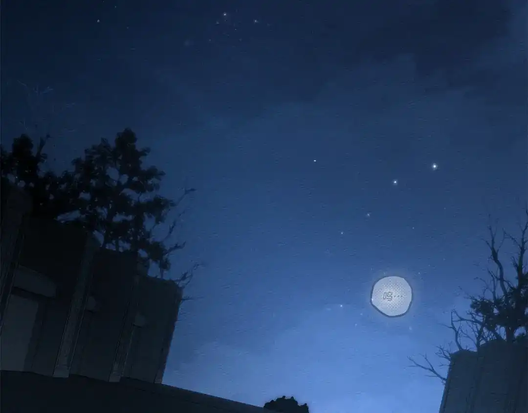 第258页