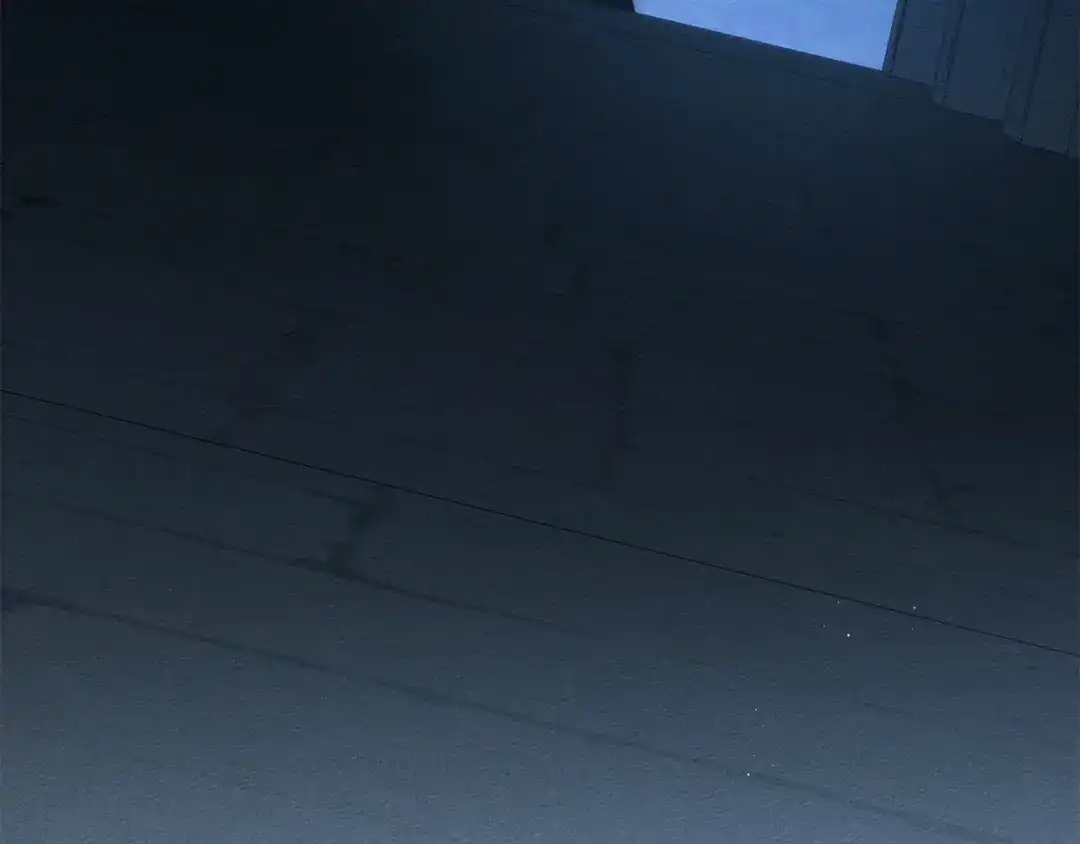 第259页