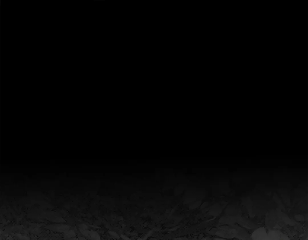 橡树之下 第150话 为什么不告诉我 第243页