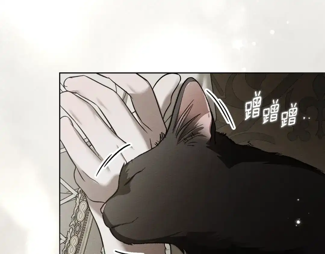橡树之下 第153话 复仇 第52页