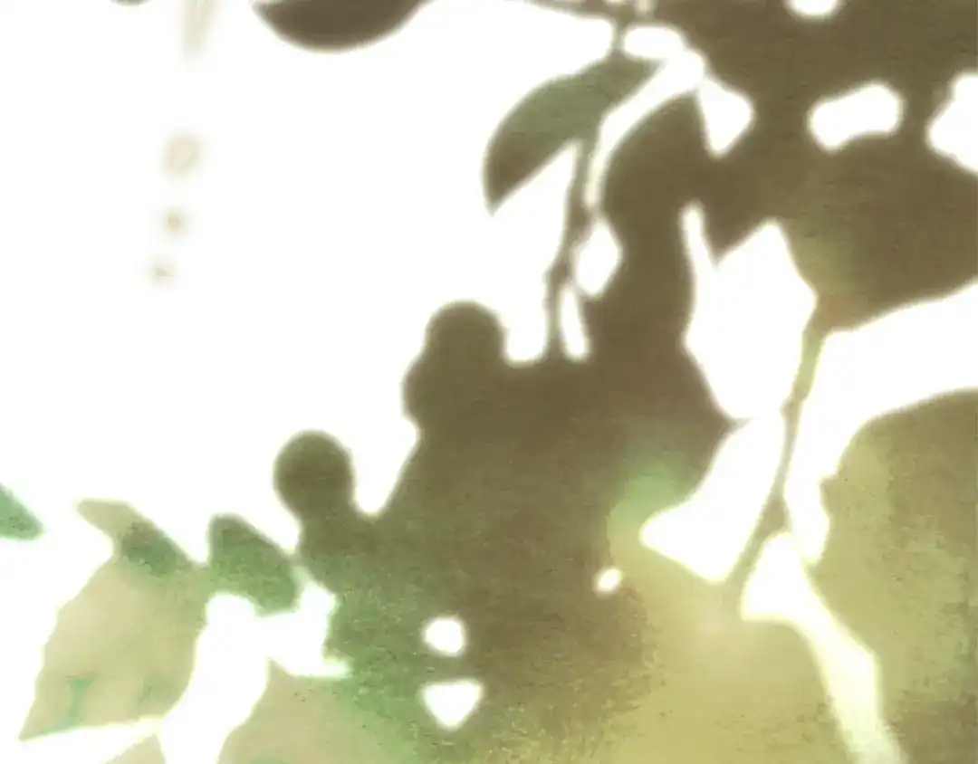 橡树之下 第153话 复仇 第64页