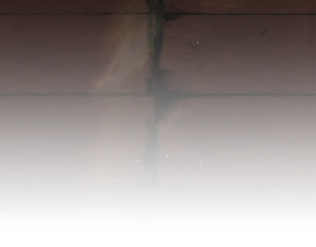 橡树之下 第154话 神秘访客 第236页