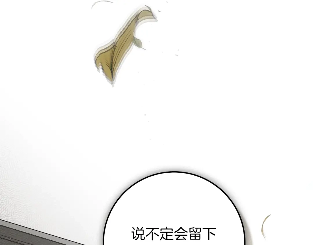 橡树之下 第155话 战争结束？ 第156页