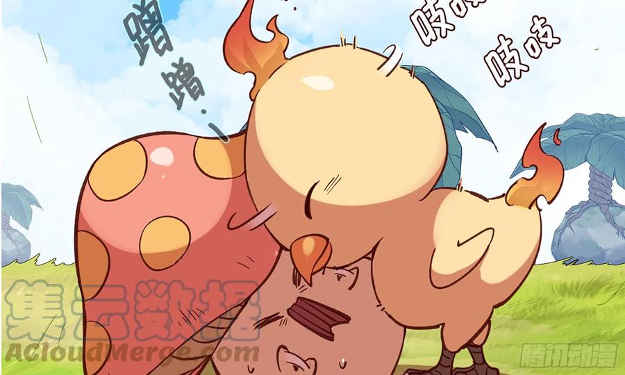 第205页