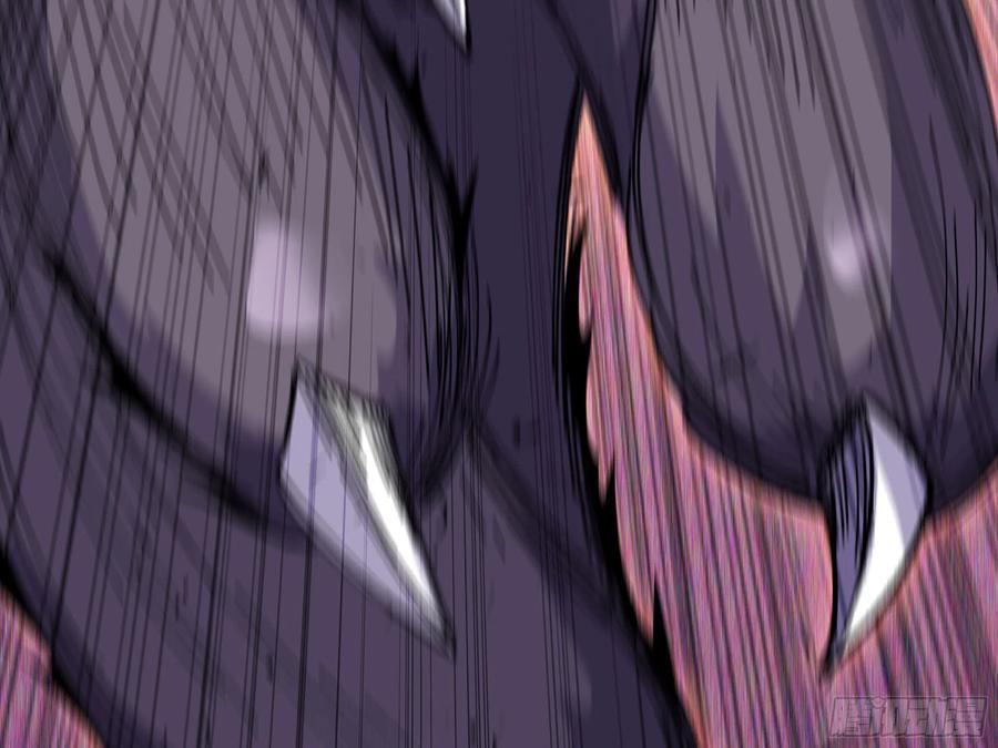 第215页