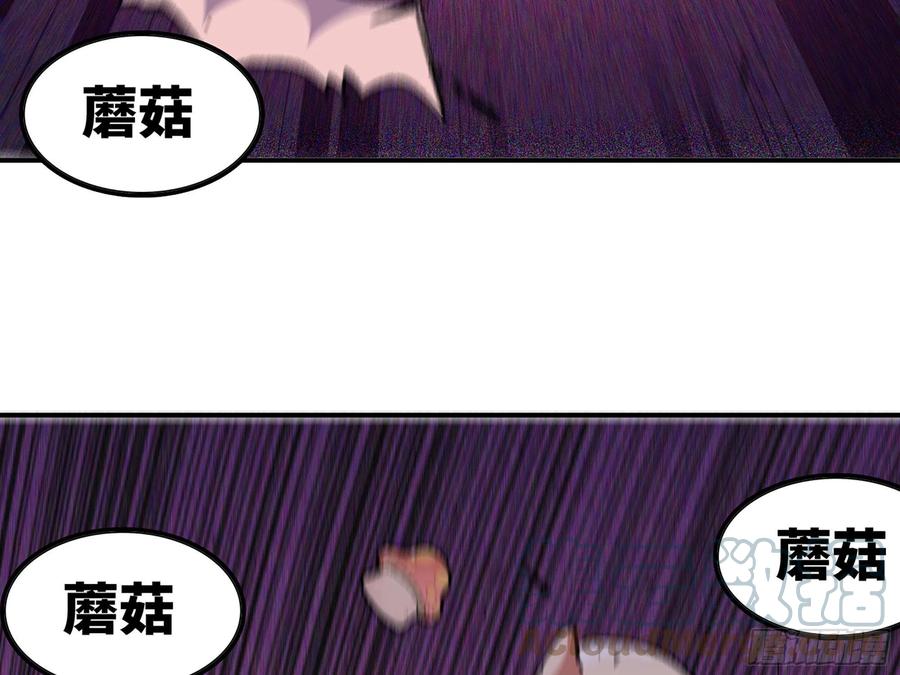 第221页