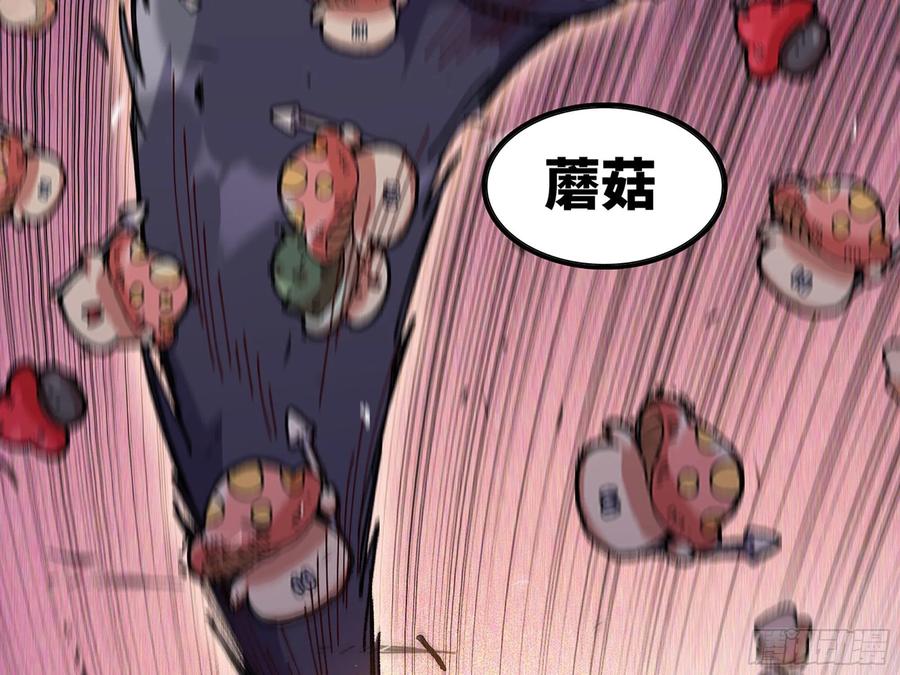 第223页