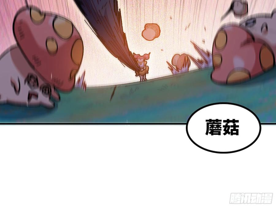 第224页