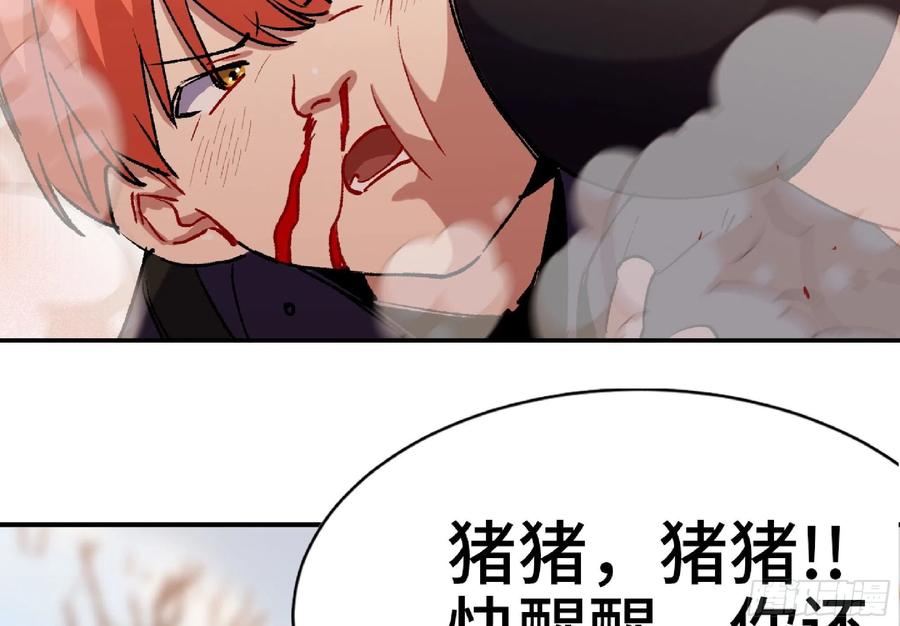 第223页