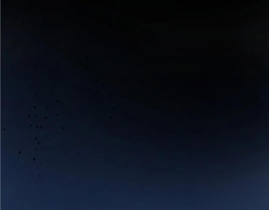 第195页