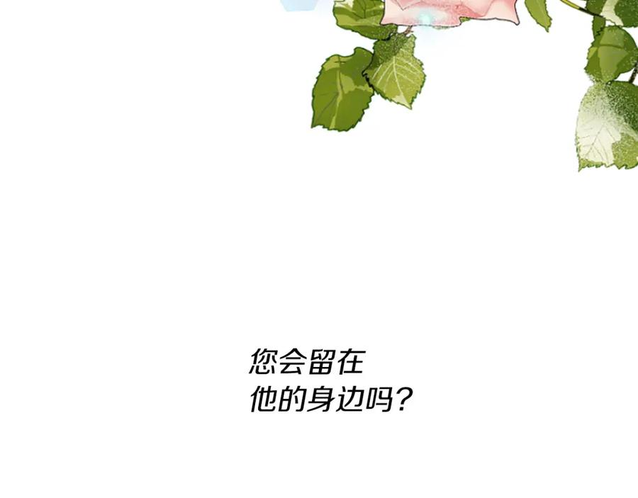 第244页