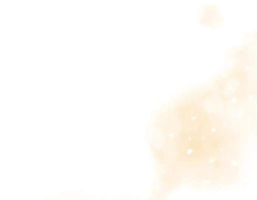 第234页