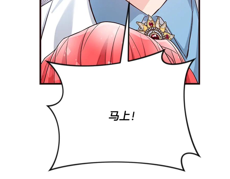 第242页