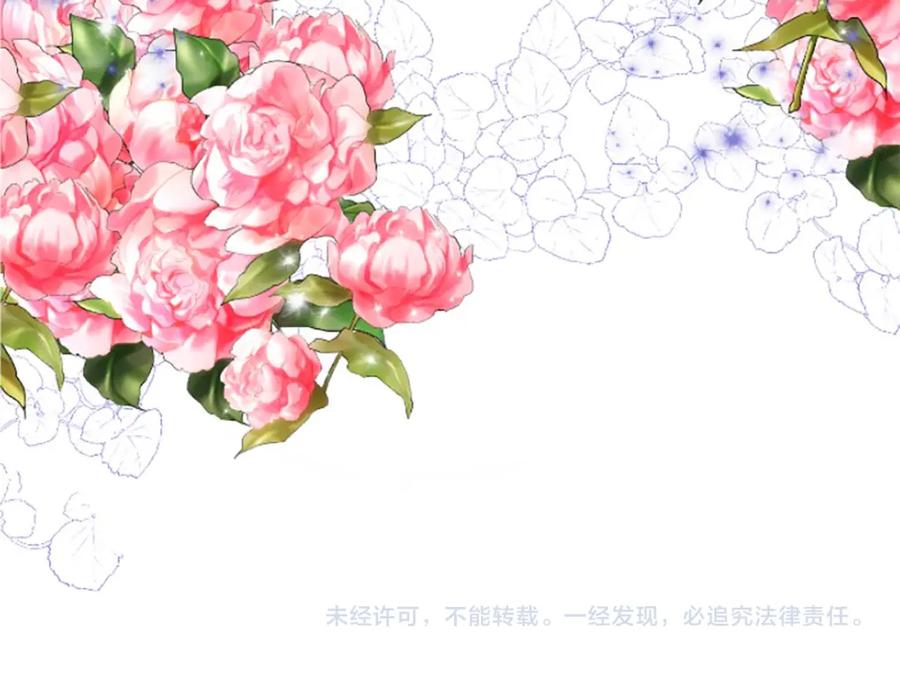 第256页