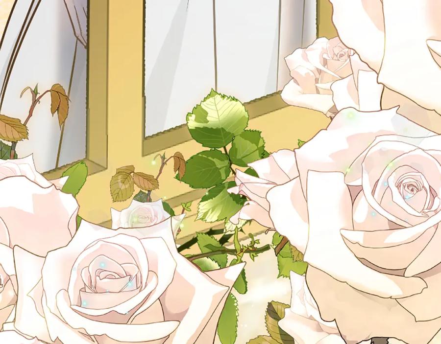 第243页