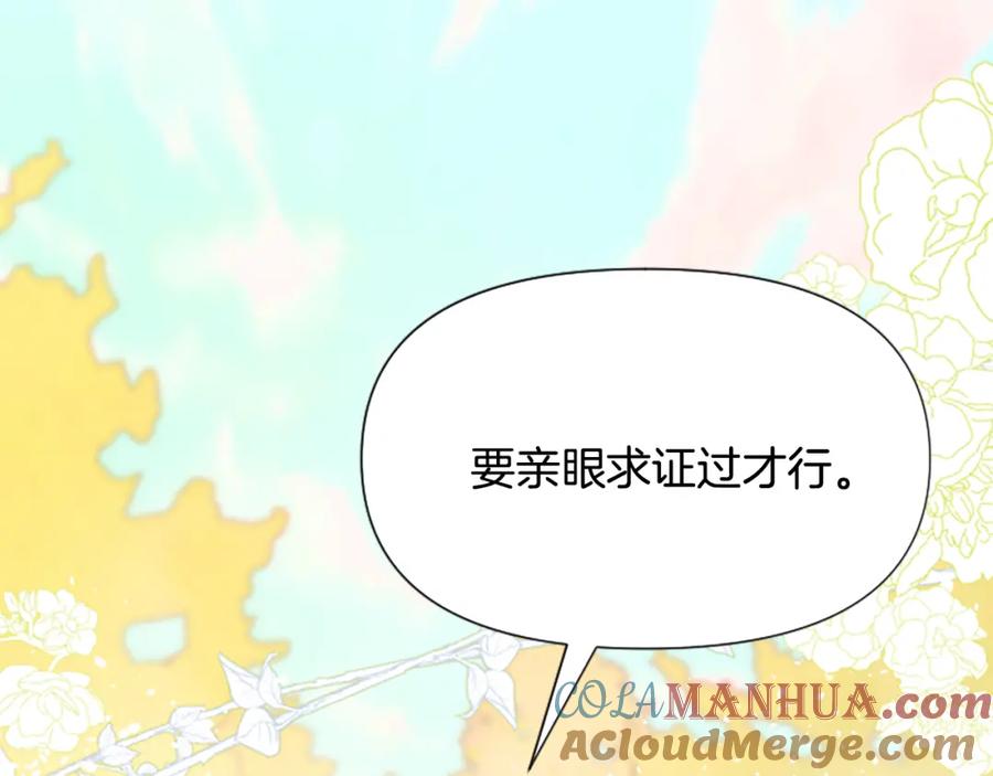 第241页