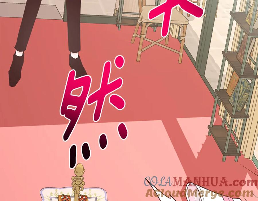 第217页