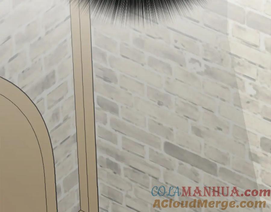 第221页