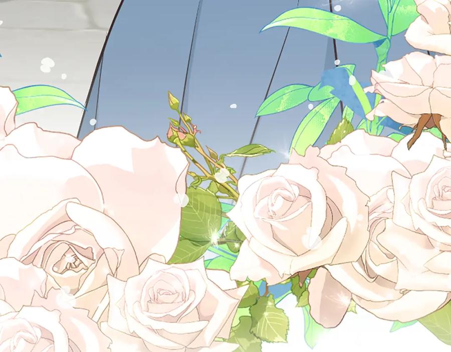 第243页