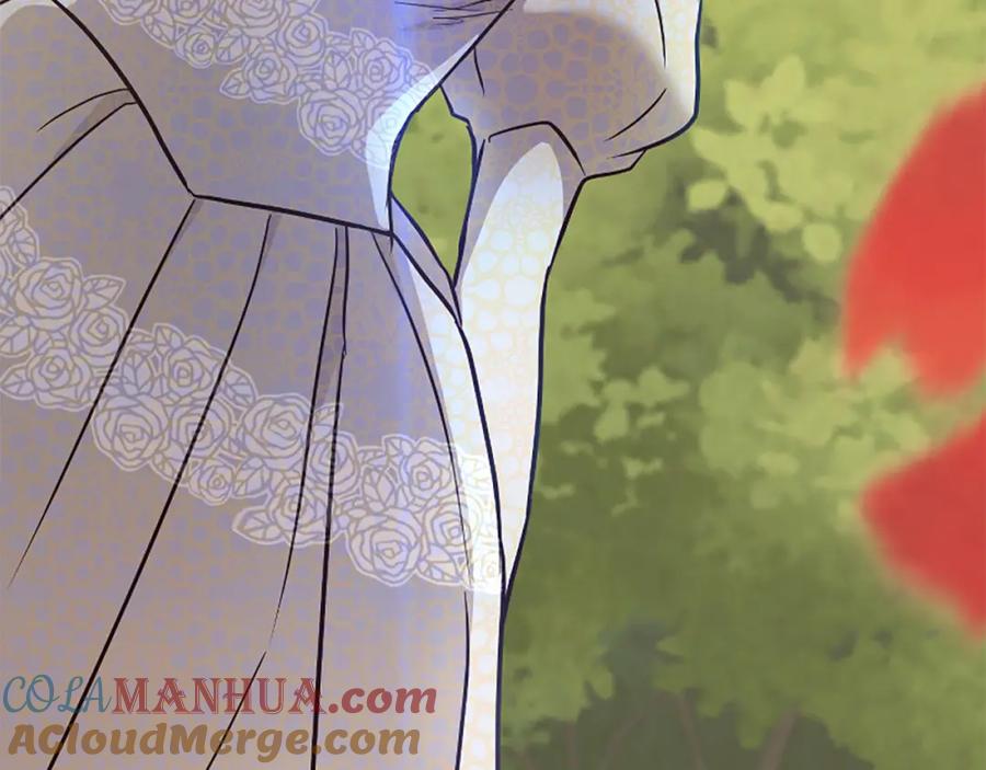 第229页