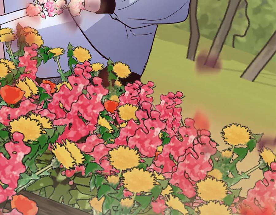 第231页