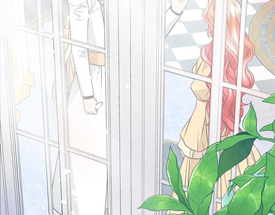 第242页