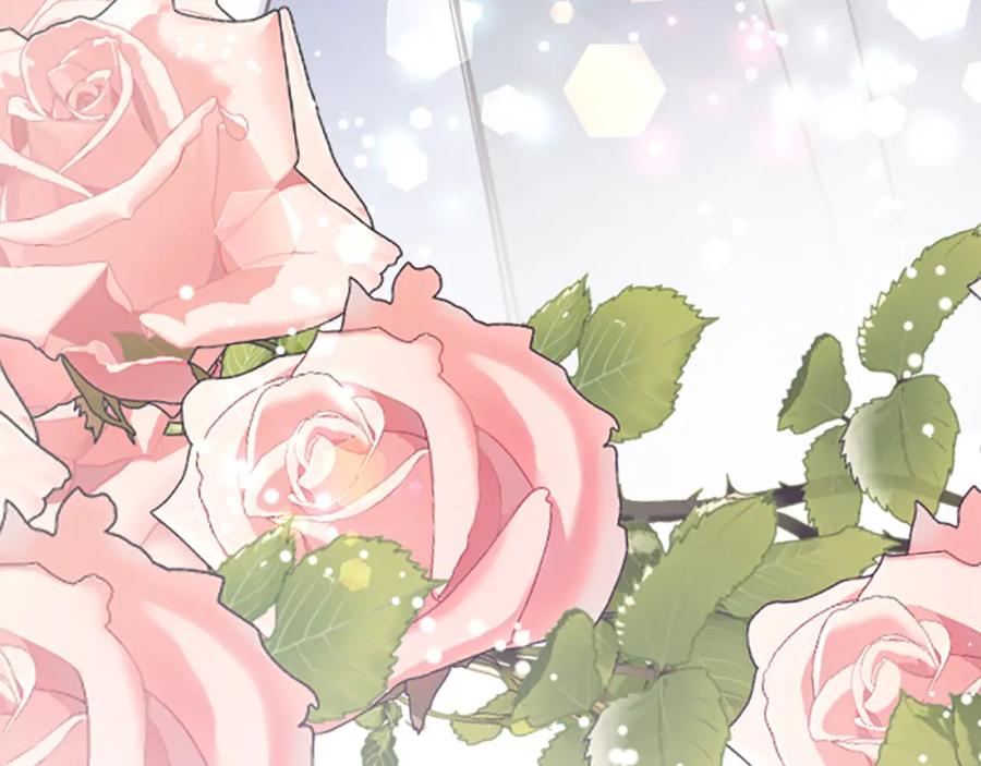 第256页