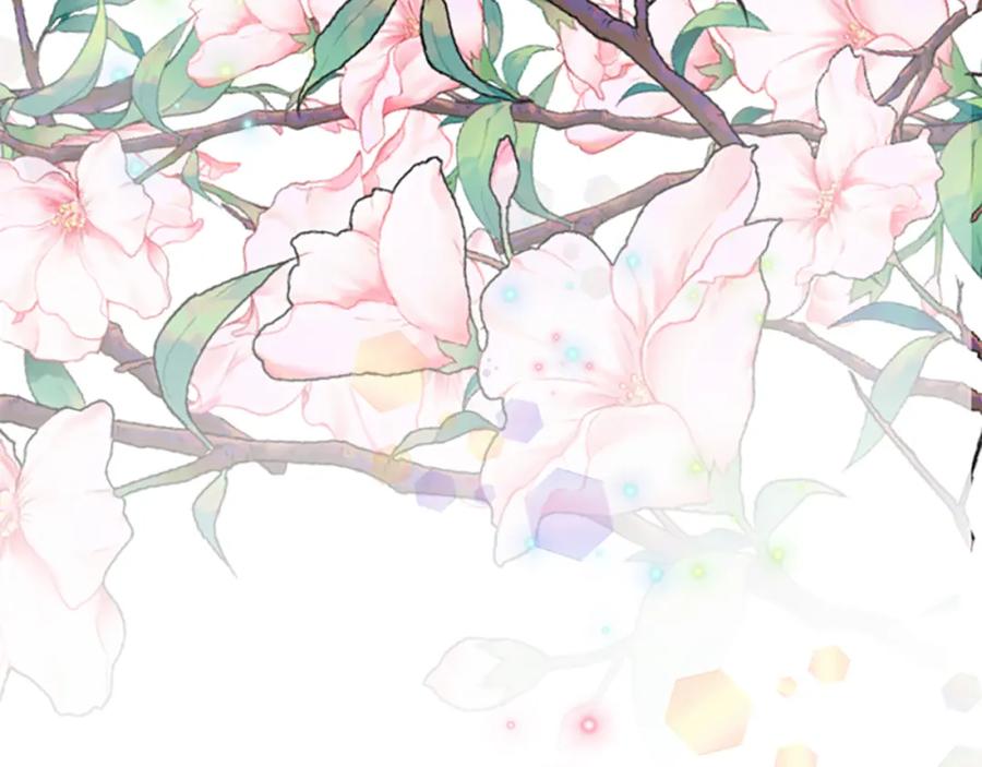 第255页