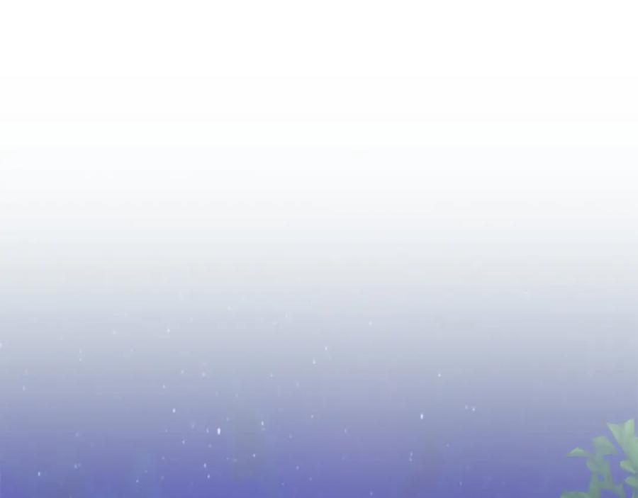 第224页