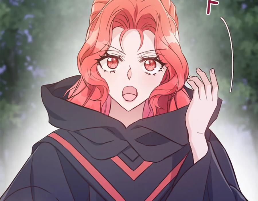 第246页