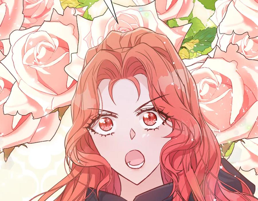 第254页