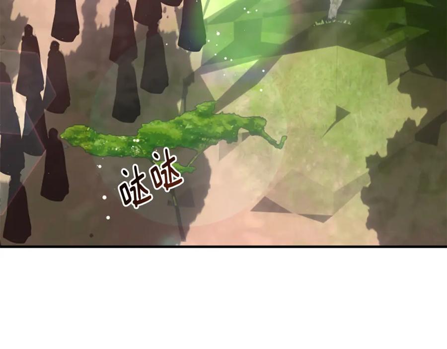 第243页