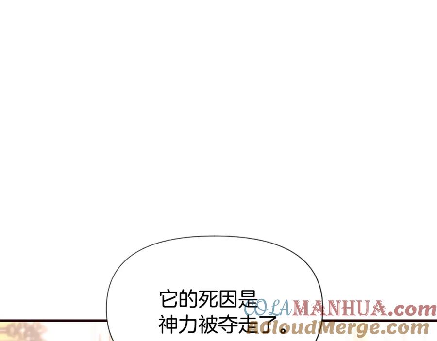第221页