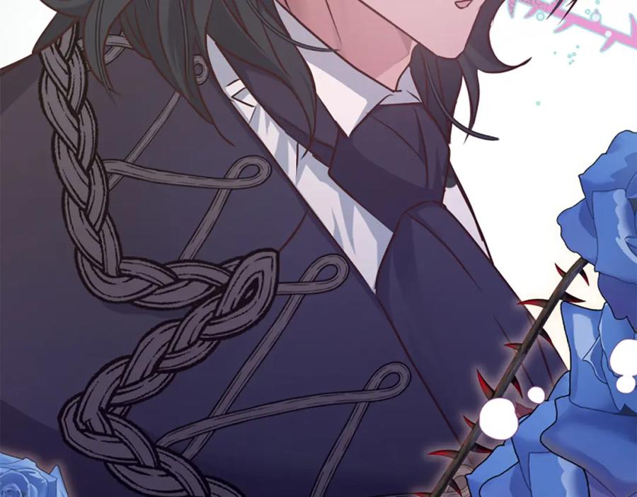 第243页
