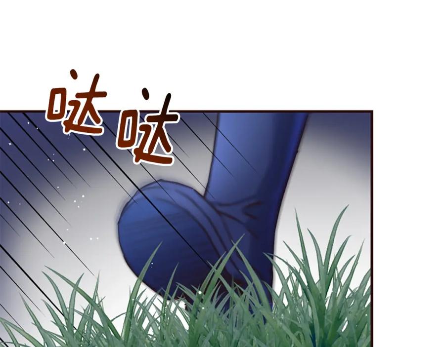 第223页