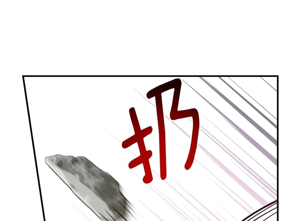 第223页