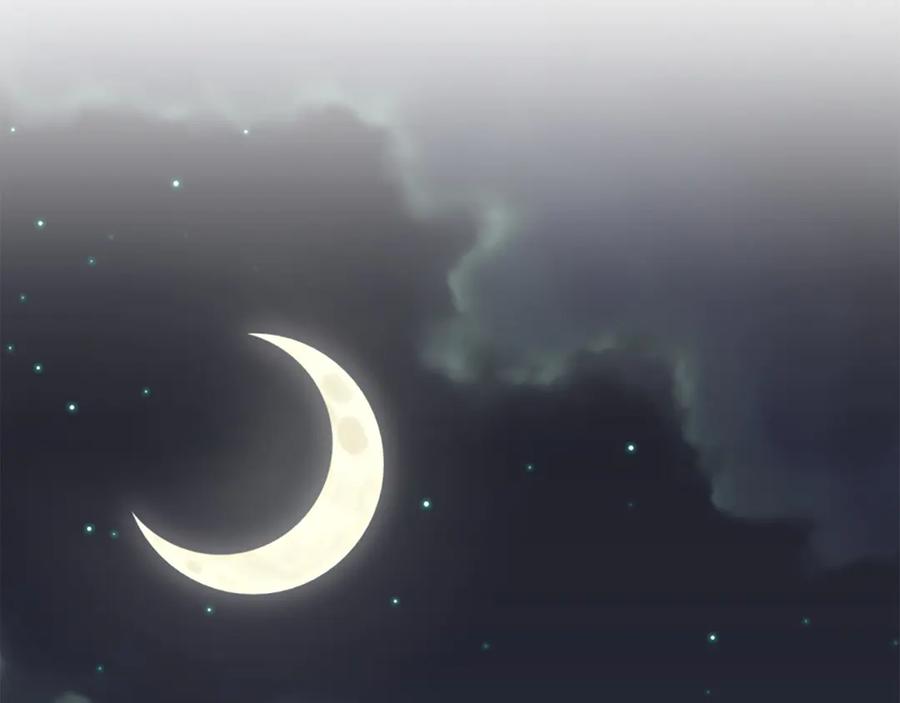 第194页
