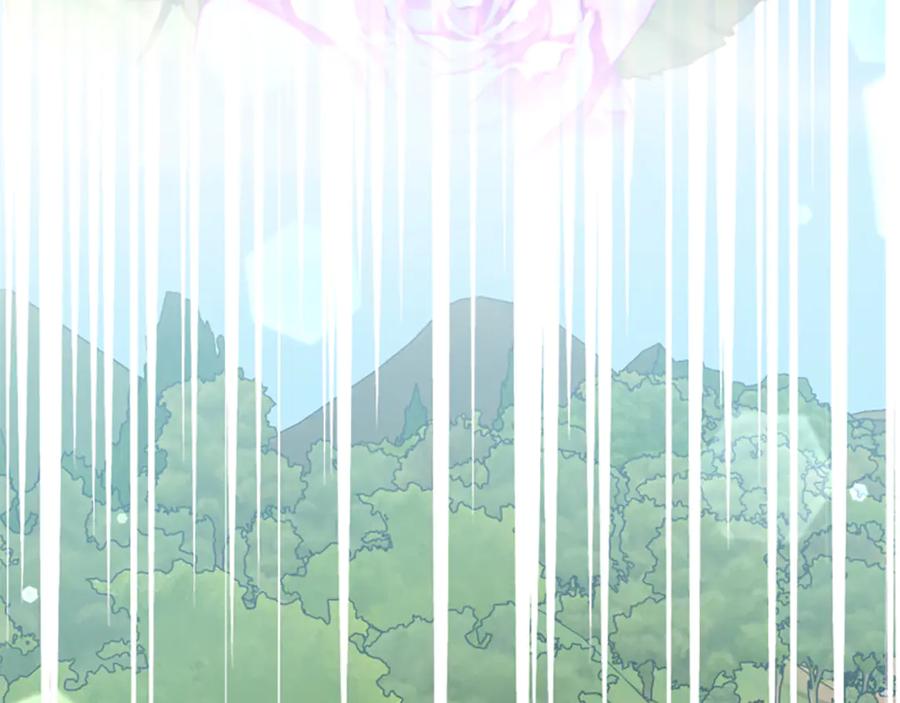 第215页