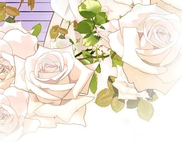 第236页