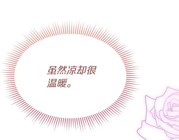 第250页